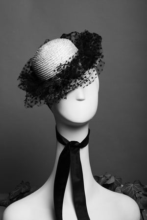 PISICA Neagra